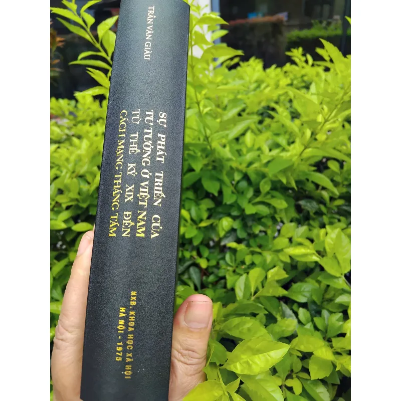 Sự phát triển của tư tưởng Việt Nam từ thế kỷ XIX đến cách mạng tháng Tám  960455