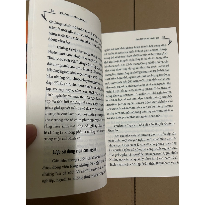 Tạm biệt cà rốt và cây gậy 504052