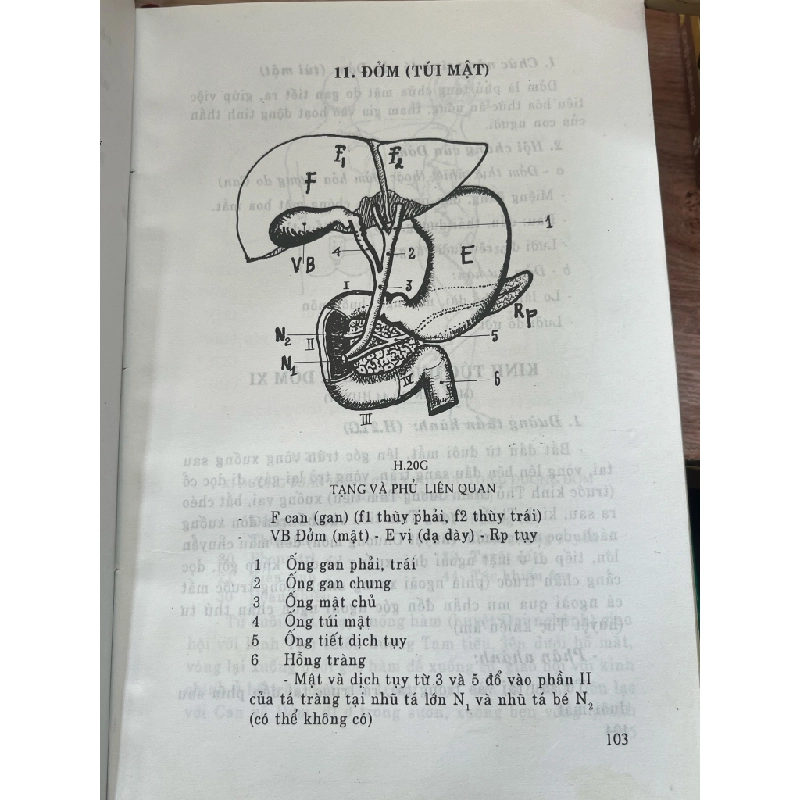 Khí công tự trị bệnh (Phương pháp Bùi Long Thành) 474296