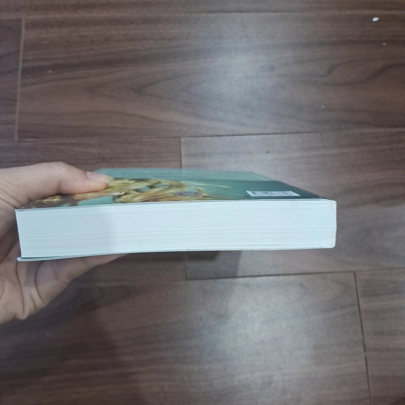 Tình yêu xanh thẳm 506151