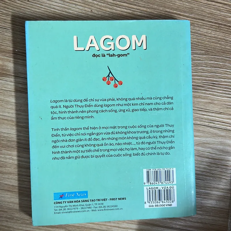 Lagom- Vừa đủ - Đẳng cấp sống của người Thuỵ Điển 568760