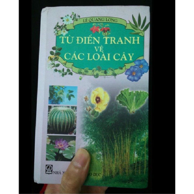 Từ điển tranh về các loài cây 7977