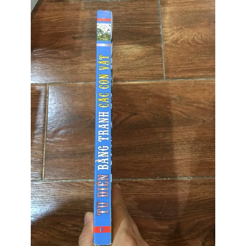Từ điển bằng tranh các con vật 471558