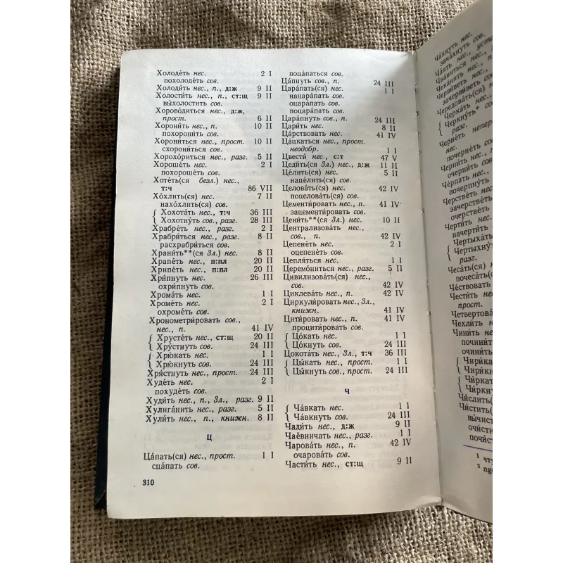 L.I. Pi-rô-gô-va Cách chia động từ tiếng Nga- 1983 933013