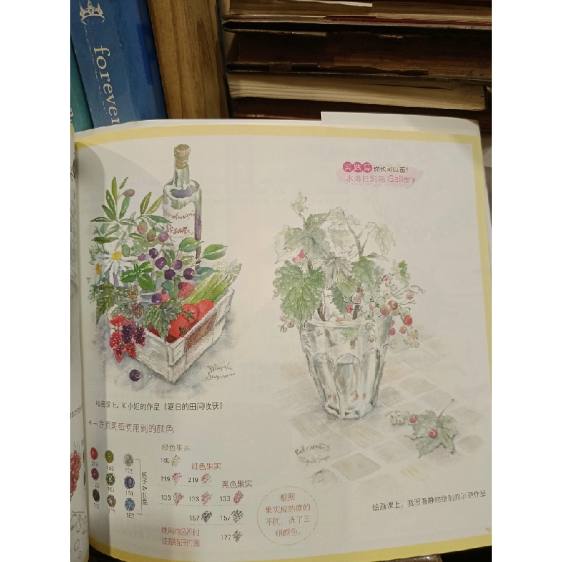 从零开始学画画：水彩色铅笔画入门 - 杉原美由树 448967