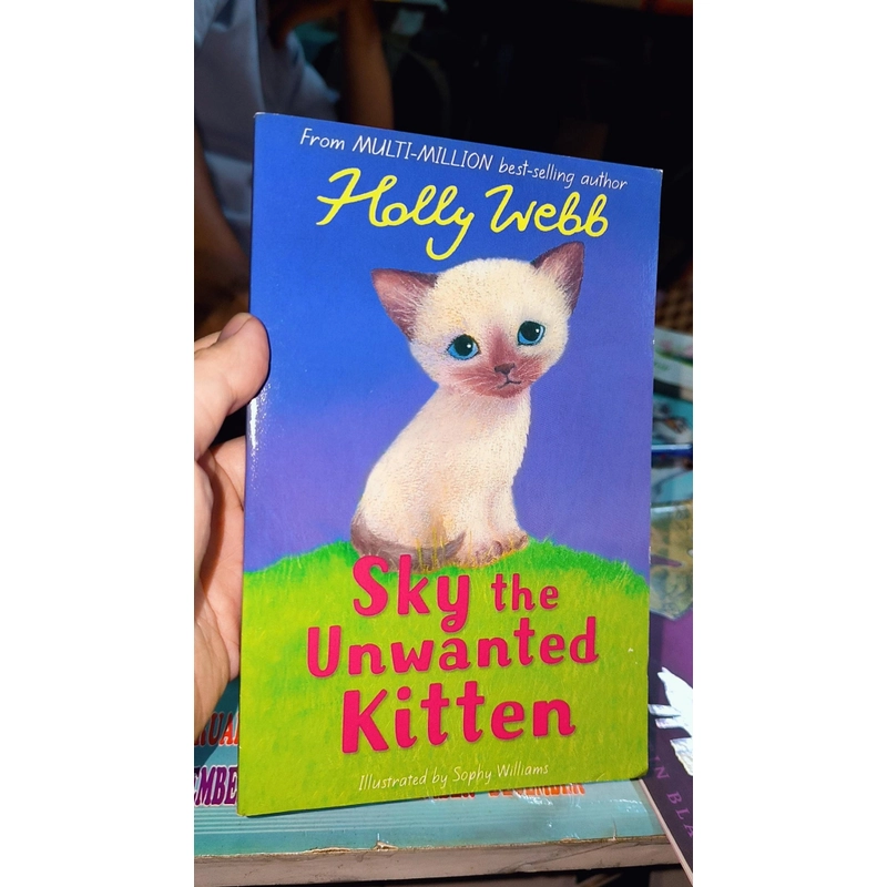 SKY THE UNWANTED KITTEN - Sách ngoại văn mèo con bị bỏ rơi - Holly web  495410