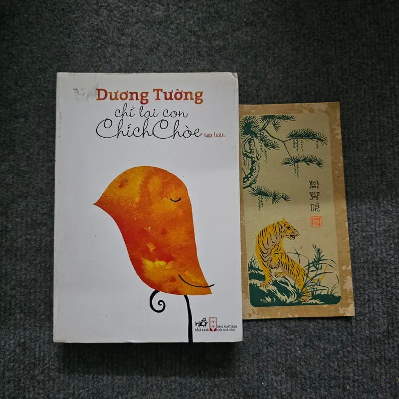 Chỉ tại con chim chích chòe - Dương Tường 736575