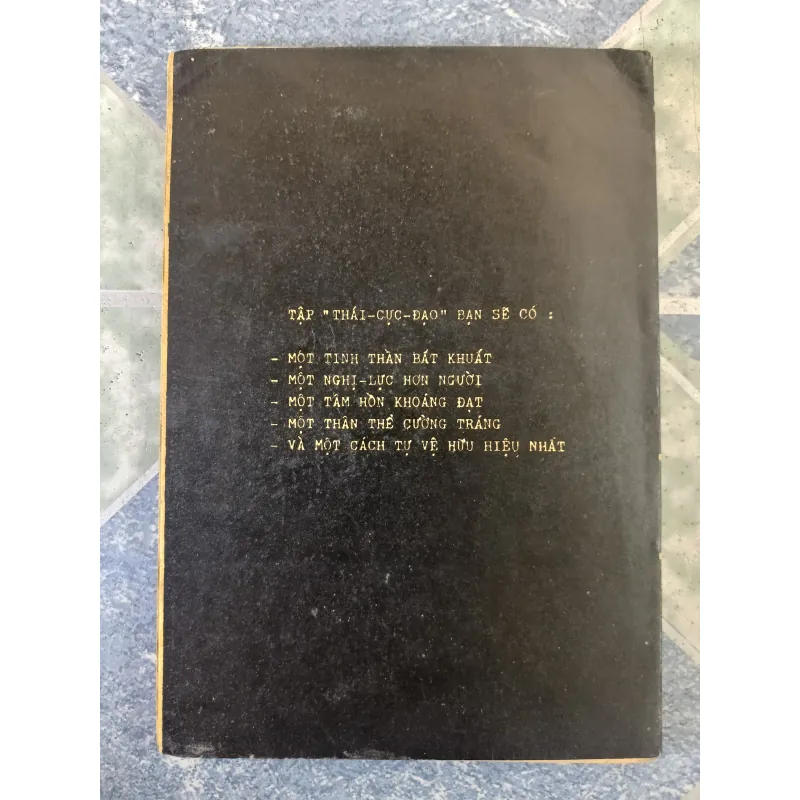 Tae kwon do Thái cực Đạo căn bản - Lạc Hà & Phan Chấn Thanh 708335