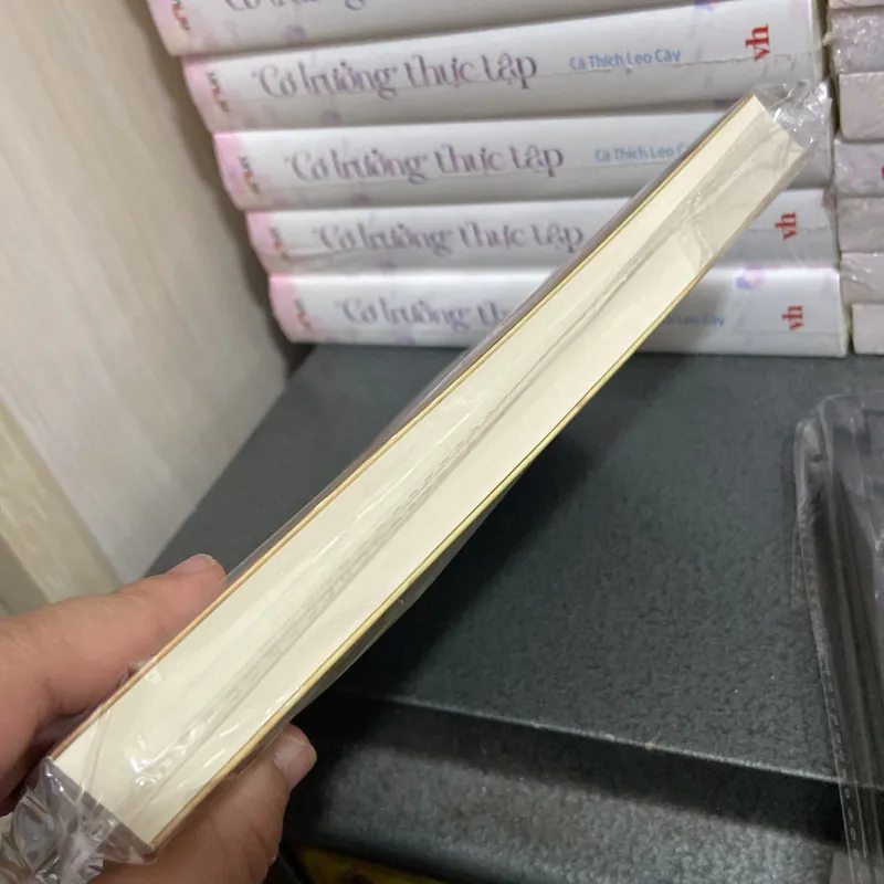 (Tiểu thuyết) - Lời Hứa - Damon Galgut 990969