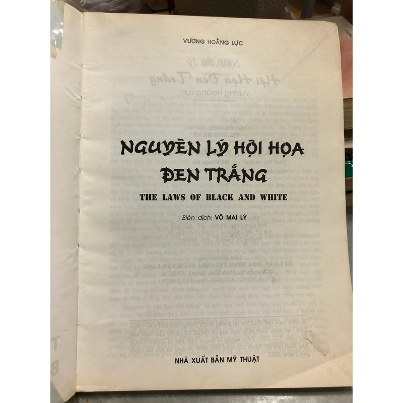 NGUYÊN LÝ HỘI HỌA ĐEN TRẮNG -Vương Hoằng Lực 444369