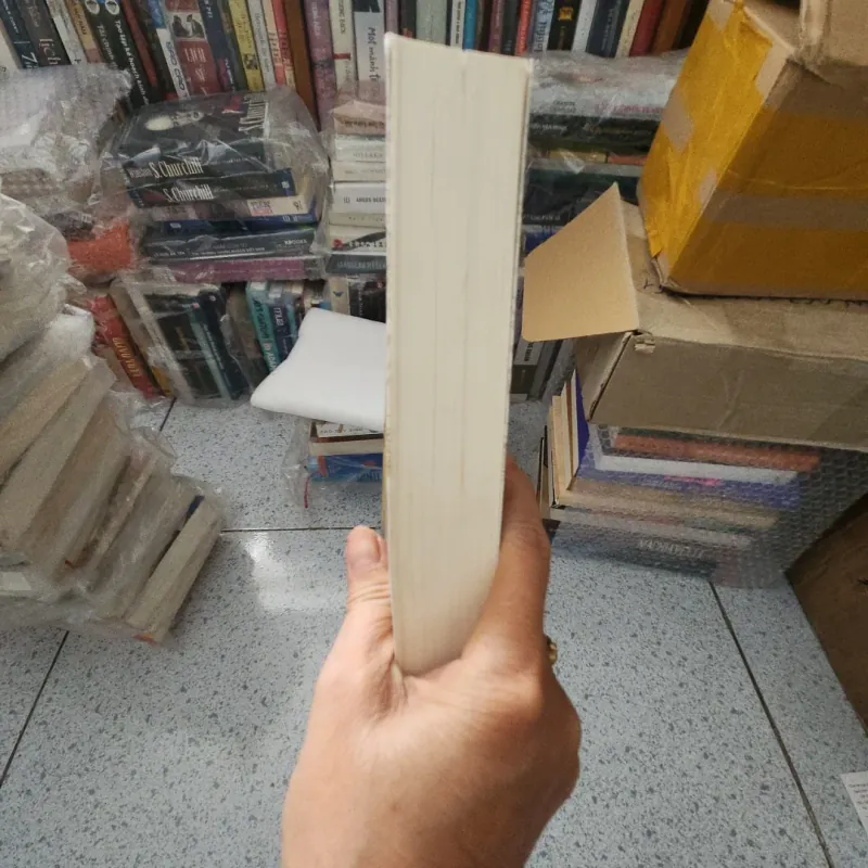 Người Thầy thuốc Noah Gordon 977832