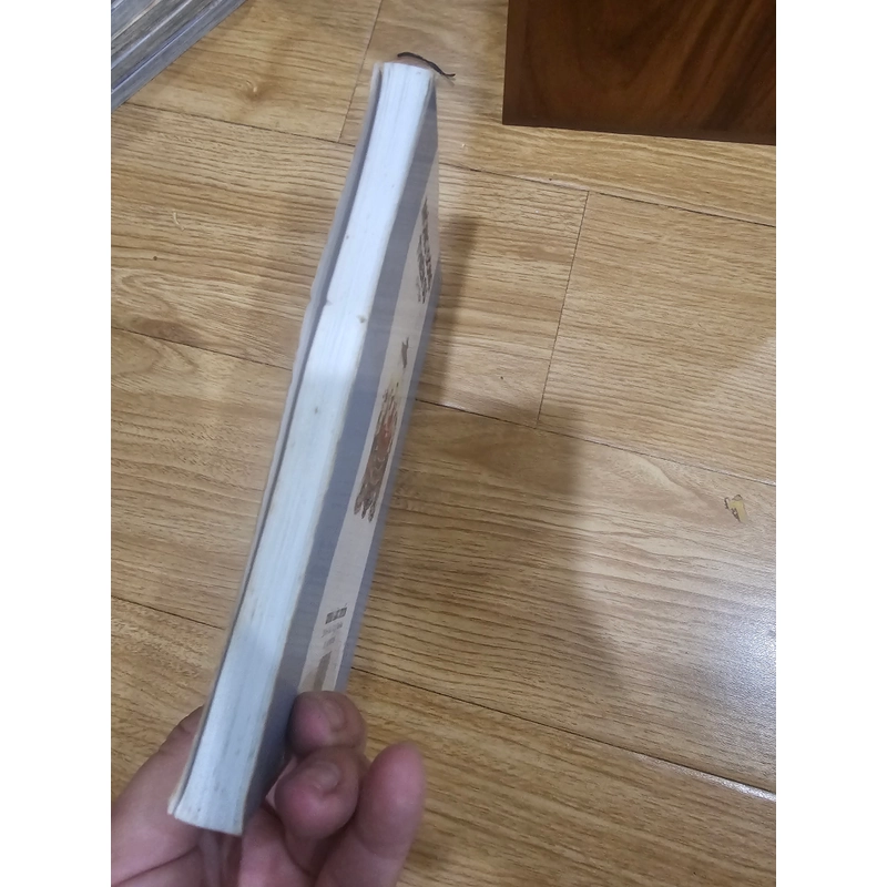 Mộng đông thiền sư. Tặng kèm theo đơn từ 20k. 451693