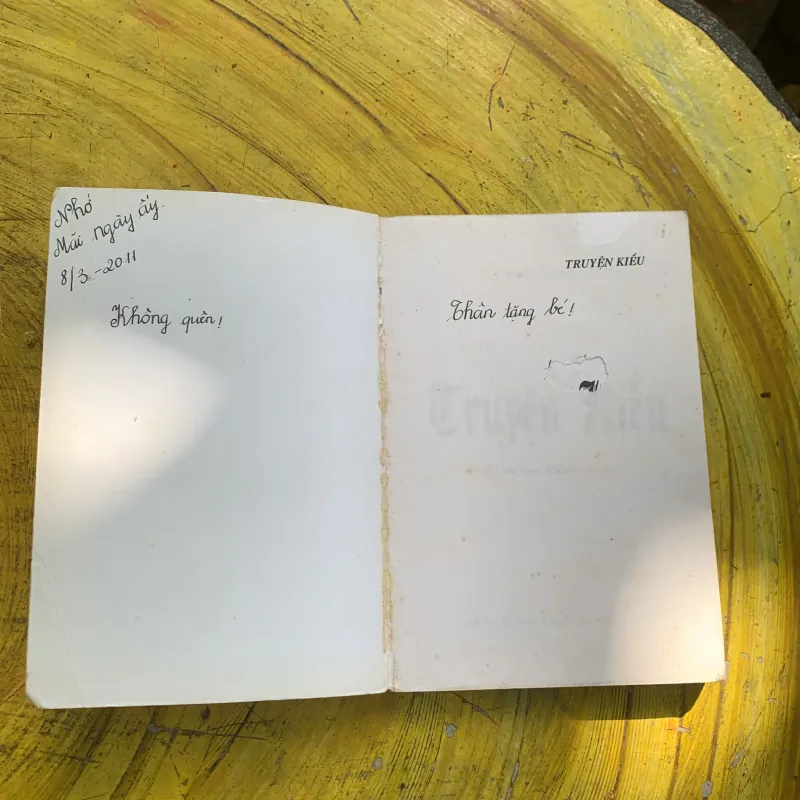  COMBO TRUYỆN KIỀU - Nguyễn Du- & KIM VÂN KIỀU TRUYỆN- thanh tâm tài nhân 753382