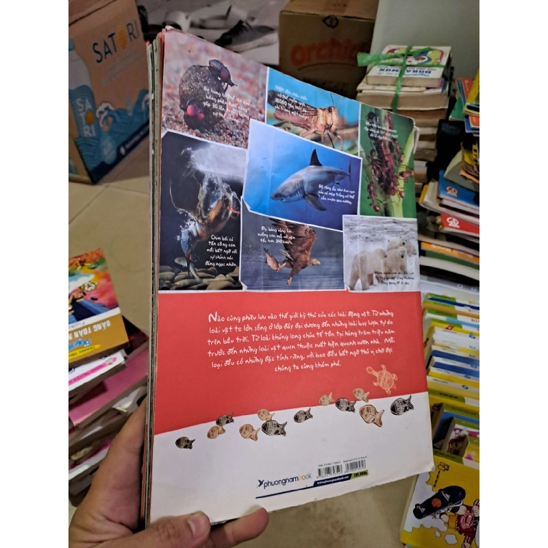 Quyển sách kỳ thú về động vật - mới 80% rách gáy - KHOA HỌC ĐỜI SỐNG - HCM0111 920819