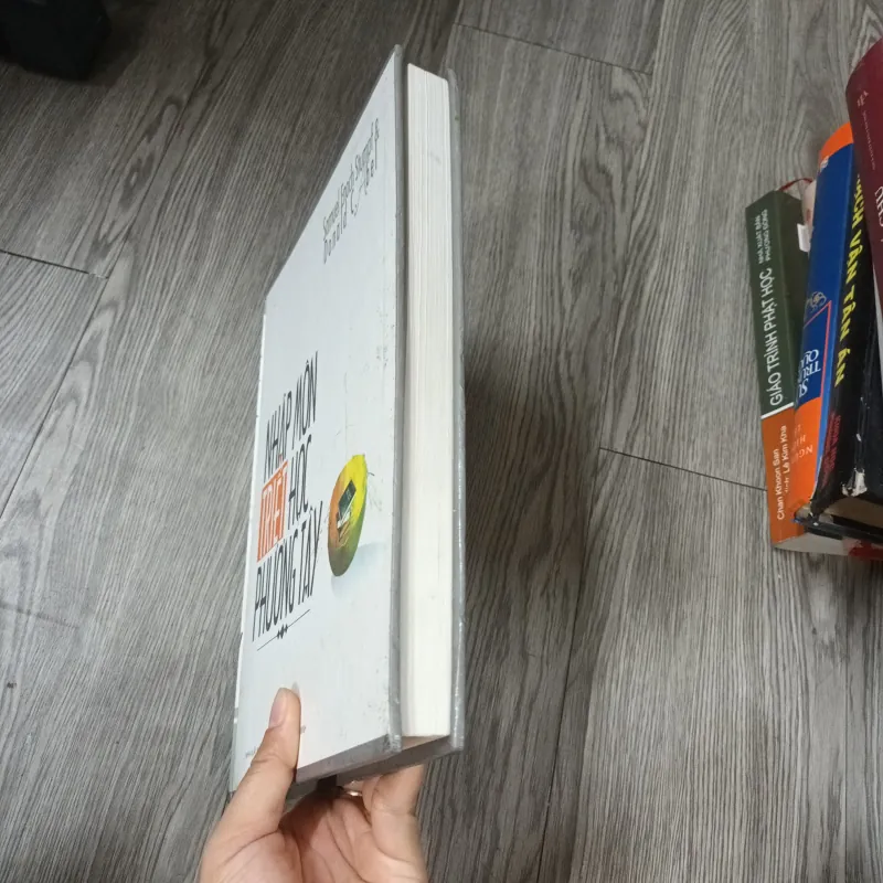 Nhập Môn Triết Học Phương Tây - Samuel Enoch Stumpf & Donald C. Abel 977294