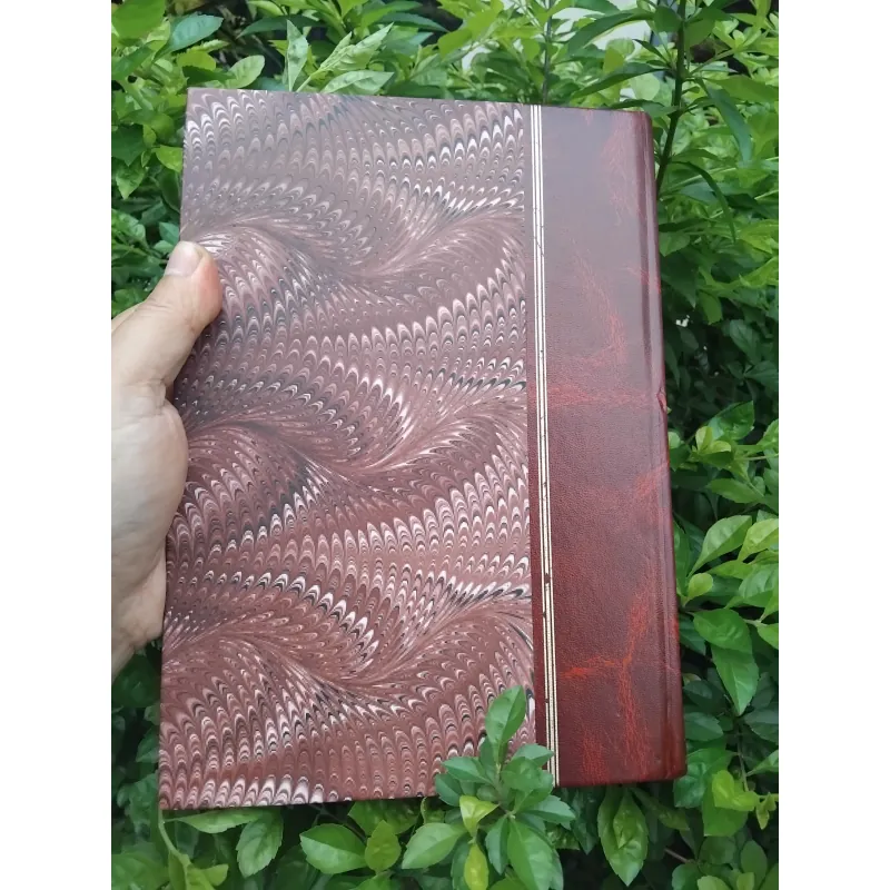 Trường ca Aleksandr Pushkin 1000698