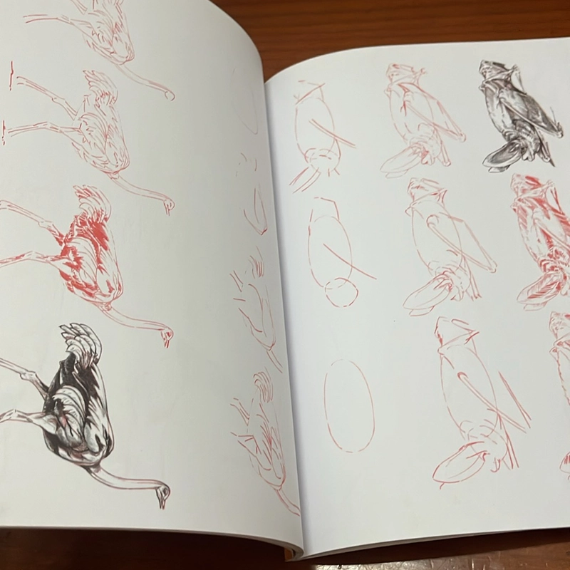 PICTURE BOOK Draw 50 endangered animals 536453