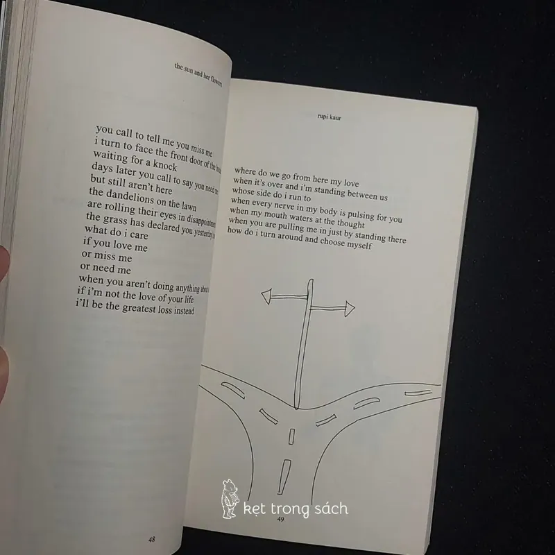 [Sách Cũ Ngoại Văn] The Sun And Her Flowers - Rupi Kaur 564212