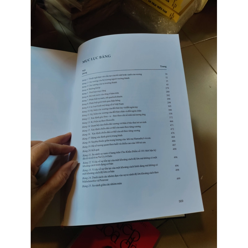 Bộ xương người nói với chúng ta điều gì 526451