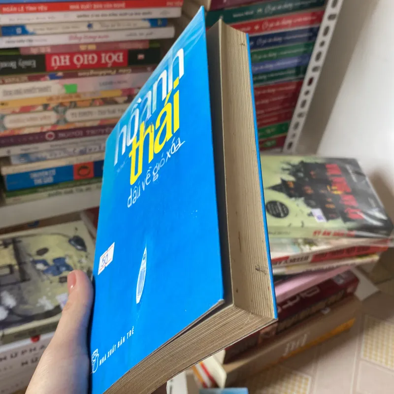 Dấu vết gió xóa Hồ Anh Thái  728034