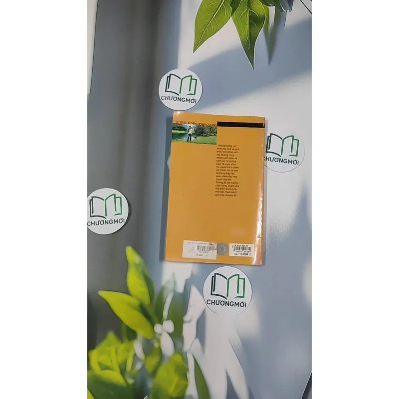 Đi "Ba Lô" xuyên Đông Dương - Tố Oanh 798503