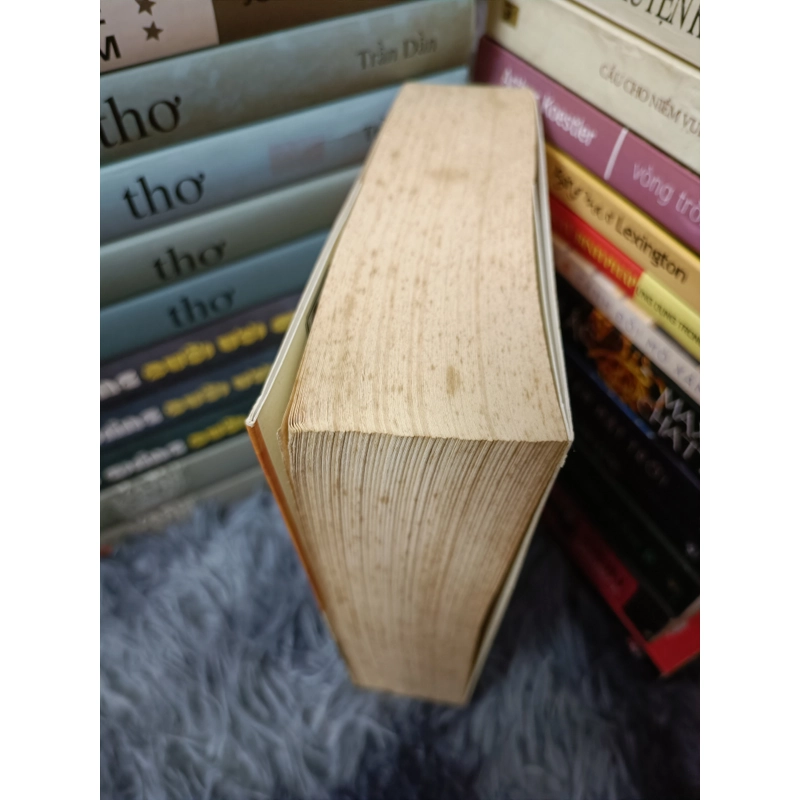 Gia đình Budden Brook (Thomas Mann) 517630