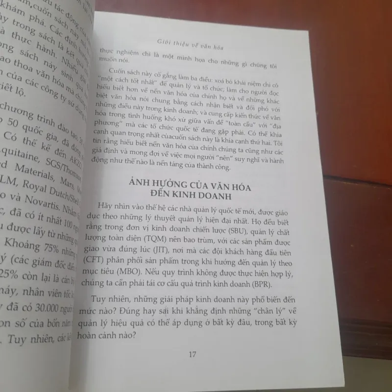 Fons Trompennaars, Charles Hampden, Turner - CHINH PHỤC CÁC ĐỢT SÓNG VĂN HÓA 778807