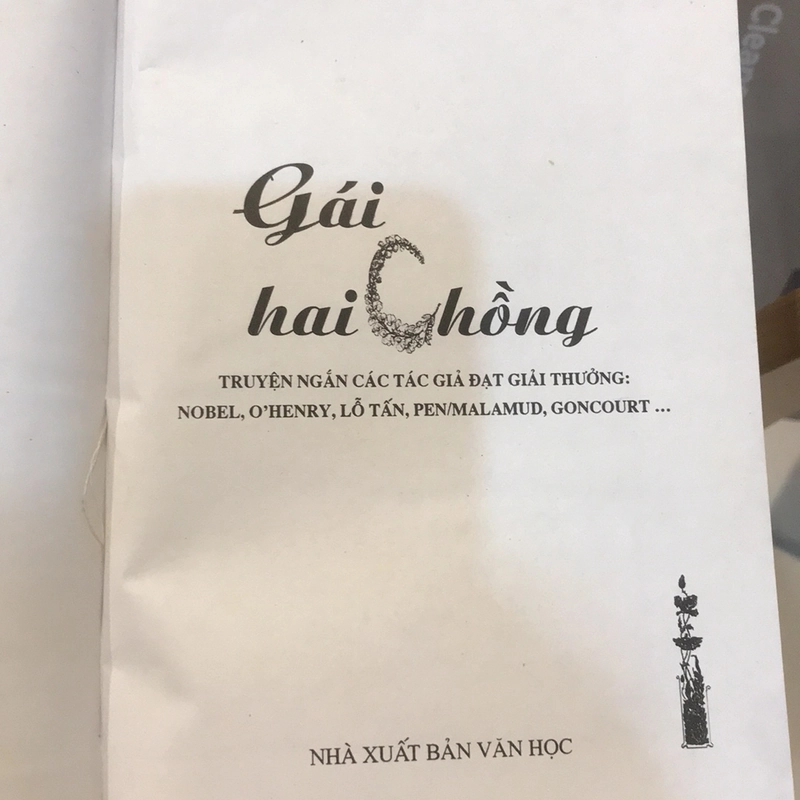 GÁI HAI CHỒNG (Tuyển truyện đạt giải Nobel), bìa cứng, xb 2008 485267