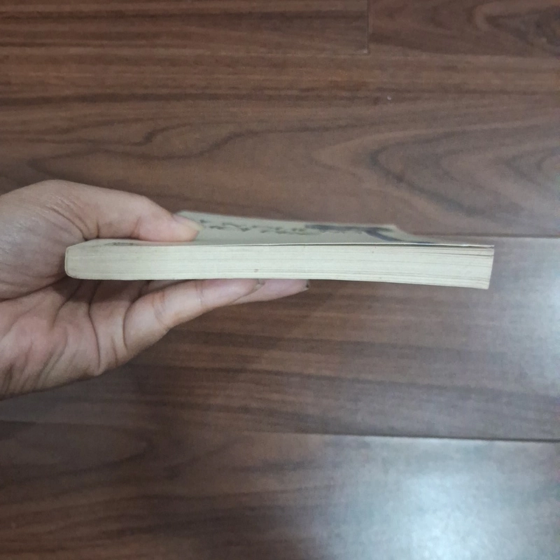 Con đường tuổi trẻ 506981