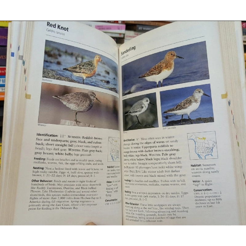 Stokes Field Guide To Birds - Donald and Lillian Stokes 1025883