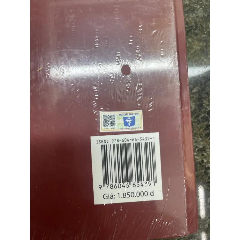 Chỉnh nha lâm sàng Từ nguyên lý đến kỹ thuật Trần Ngọc Quảng Phi seal 762283