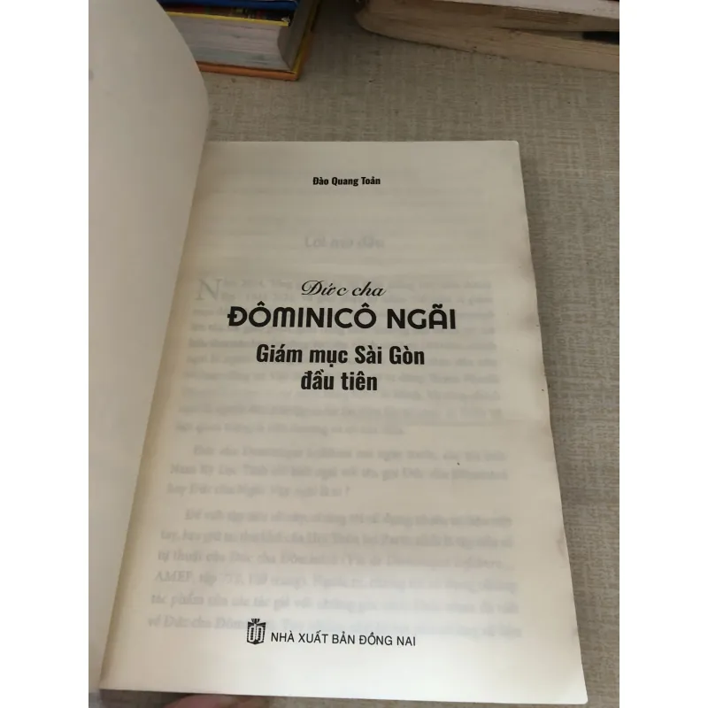 Đức cha Đôminico Ngãi-Giám mục Sài Gòn đầu tiên 976033