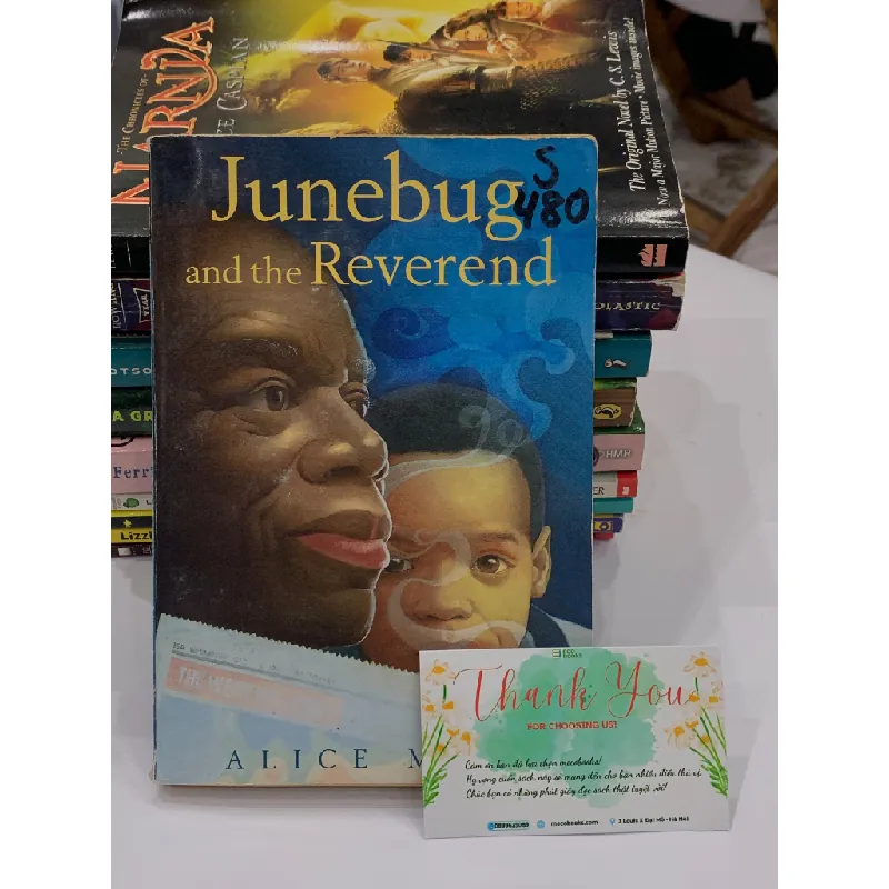 Junebug and the Reverend – Alice Mead 559629