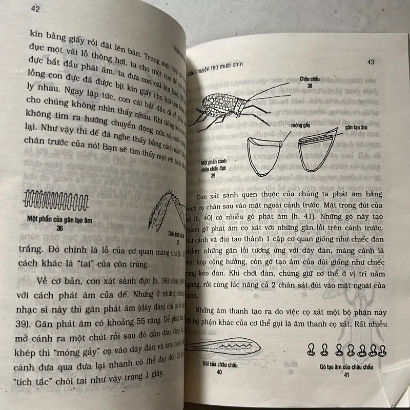 Phiêu lưu côn trùng (2 tập) 627310