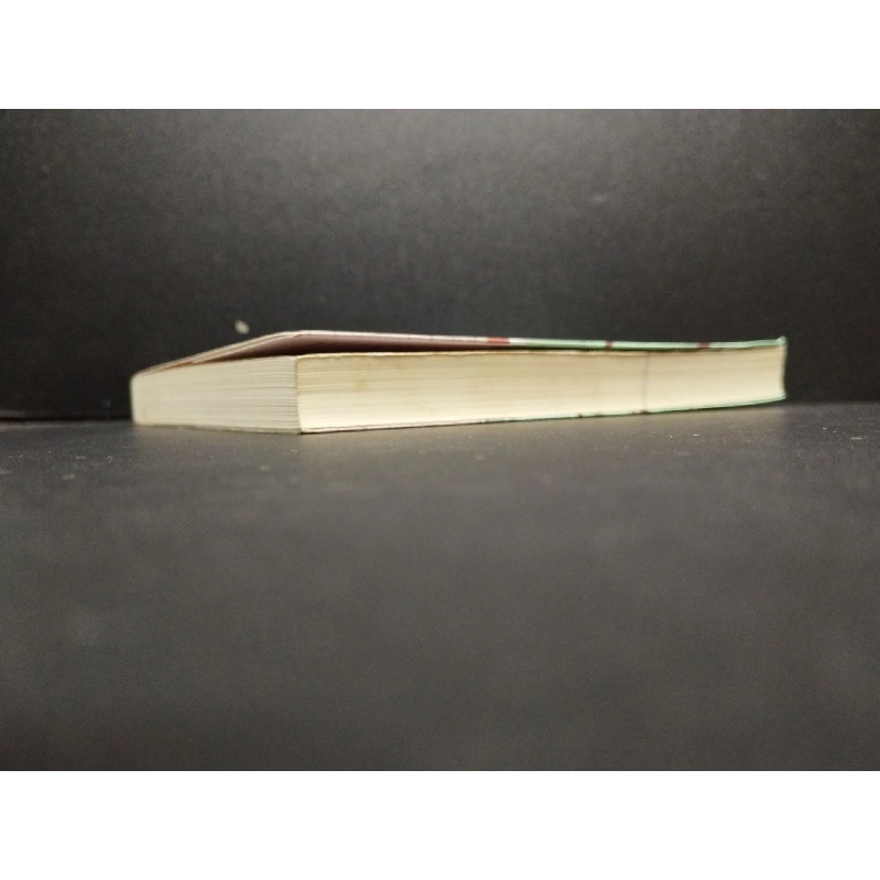 Người Mẹ Lang Thang mới 80% ố nhẹ 2017 HCM2405 Hika Harada SÁCH VĂN HỌC 914548