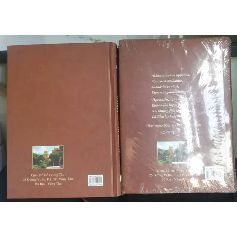 Luận giải Kinh Điềm Lành - Thầy Tỳ Khưu Chánh Minh 698195