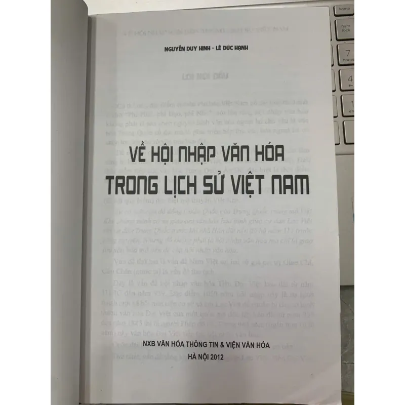 VỀ HỘI NHẬP VĂN HÓA TRONG LỊCH SỬ VIỆT NAM - NGUYỄN DUY HINH & LÊ ĐỨC HẠNH 602726