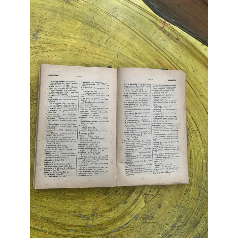 TỪ ĐIỂN Y DƯỢC PHÁP - VIỆT - bộ Y TẾ 799952