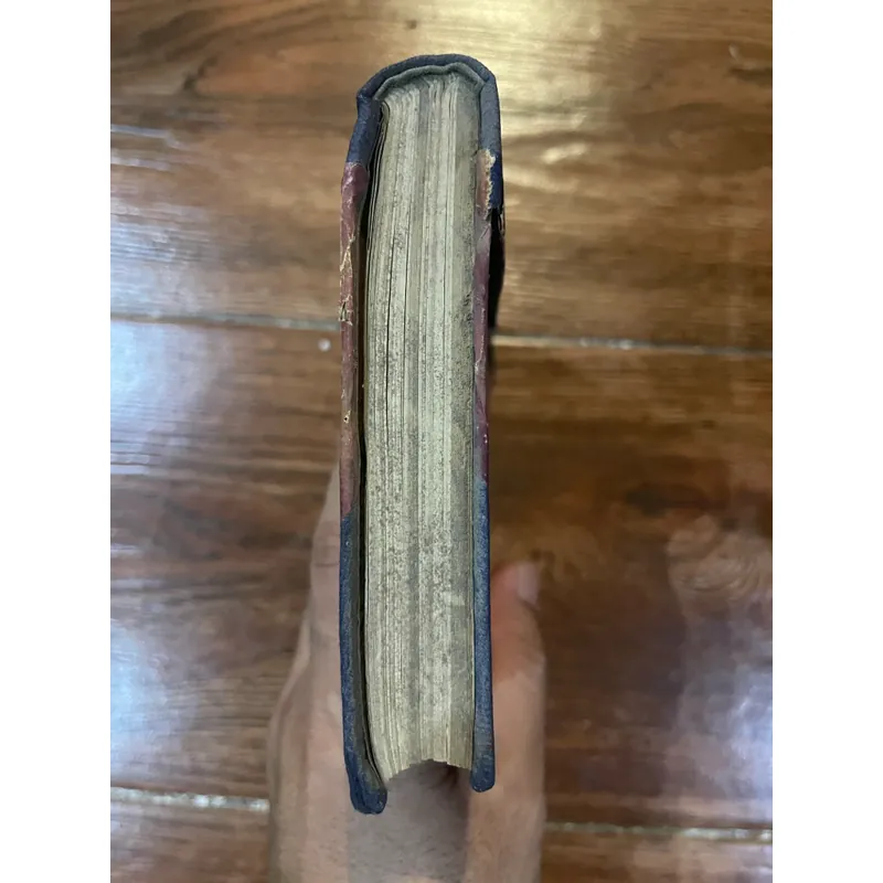 Thân thế và sự nghiệp y học của Hải Thượng Lãn Ông (19) 561026