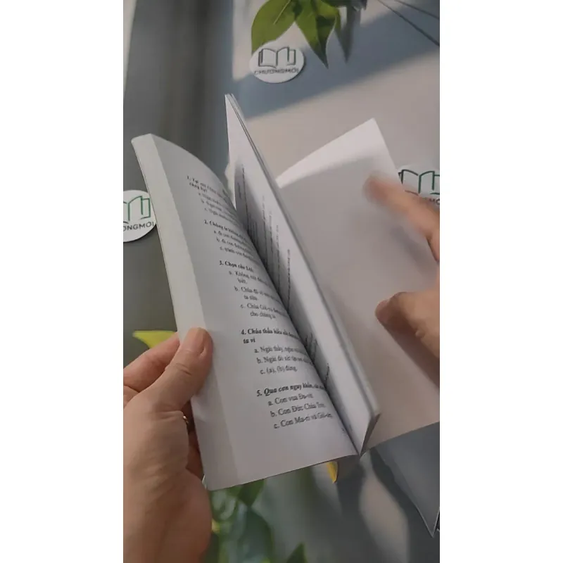 Bài Học Trường Chúa Nhật: Bốn Sách Phúc Âm - Học Viên 3 928515