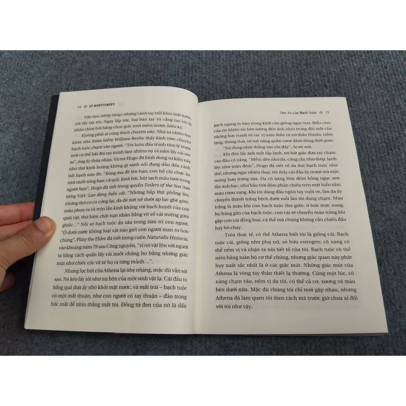 TÂM TƯ CỦA BẠCH TUỘC 990666