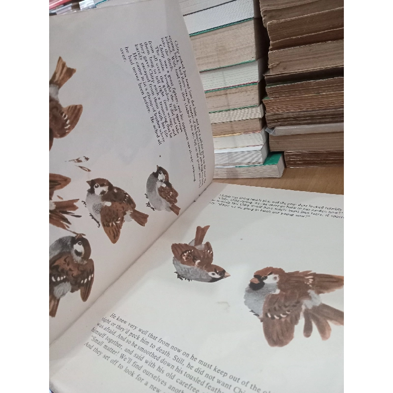 Red Hill - Vitaly Bianki 797799