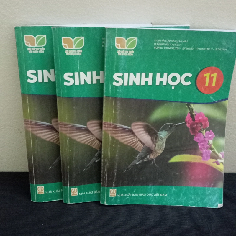 SGK Sinh Học Lớp 11-Kết Nối Tri Thức Với Cuộc Sống  550853