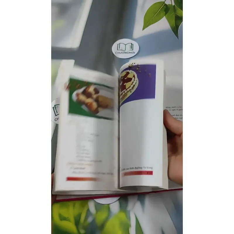 Bánh Tây Phương - Nguyễn Thu Dung & Nguyễn Thị Thanh Nhàn 727309