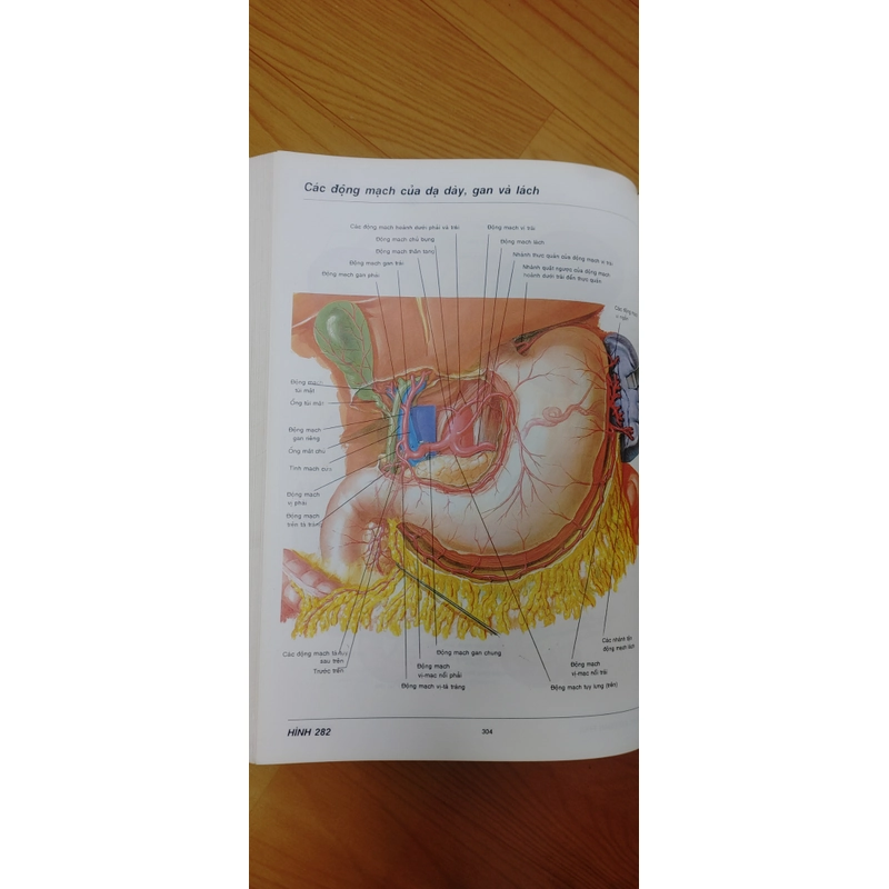 ATLAS GIẢI PHẪU NGƯỜI  541095