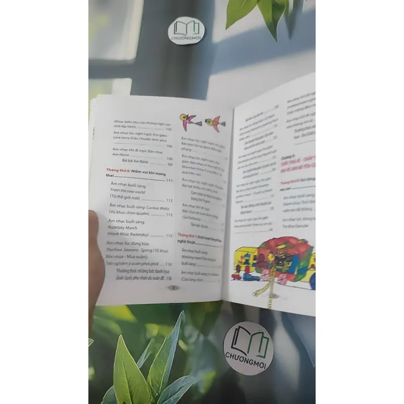 Âm Nhạc Thai Giáo - Càng Nghe Càng Thông Minh - Lý Lợi 1018927