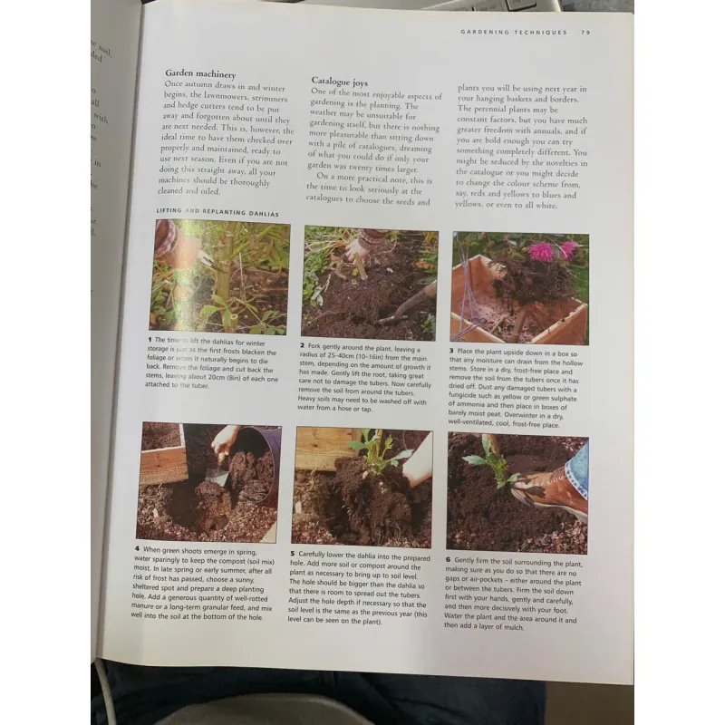 KNOWING AND GROWING ANNUALS & PERENNIALS (HIỂU VÀ TRỒNG CÂY HÀNG NĂM & LÂU NĂM) 689886