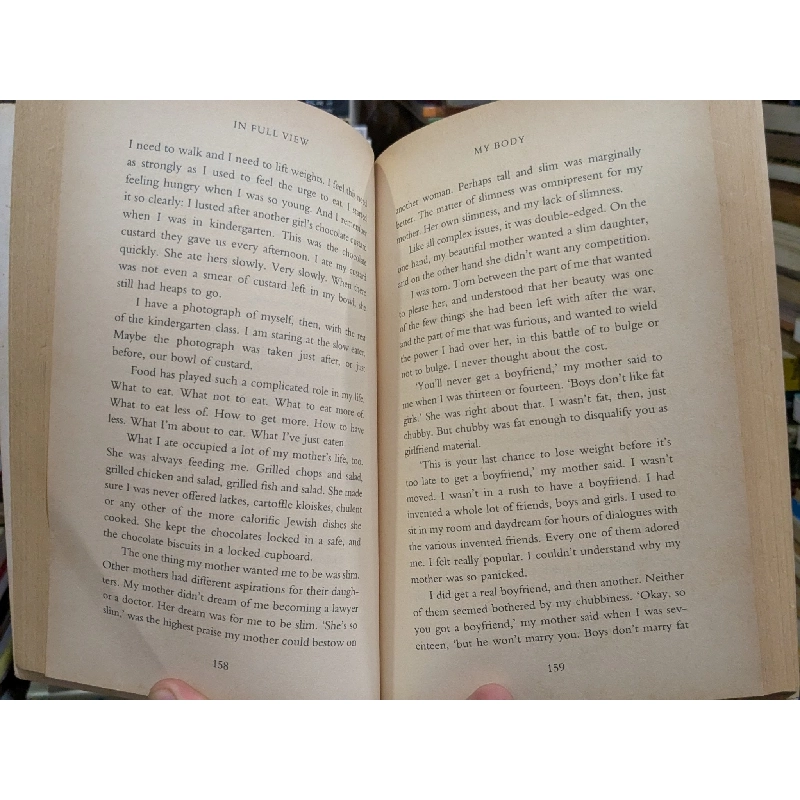 In full view - Lily Brett 789318