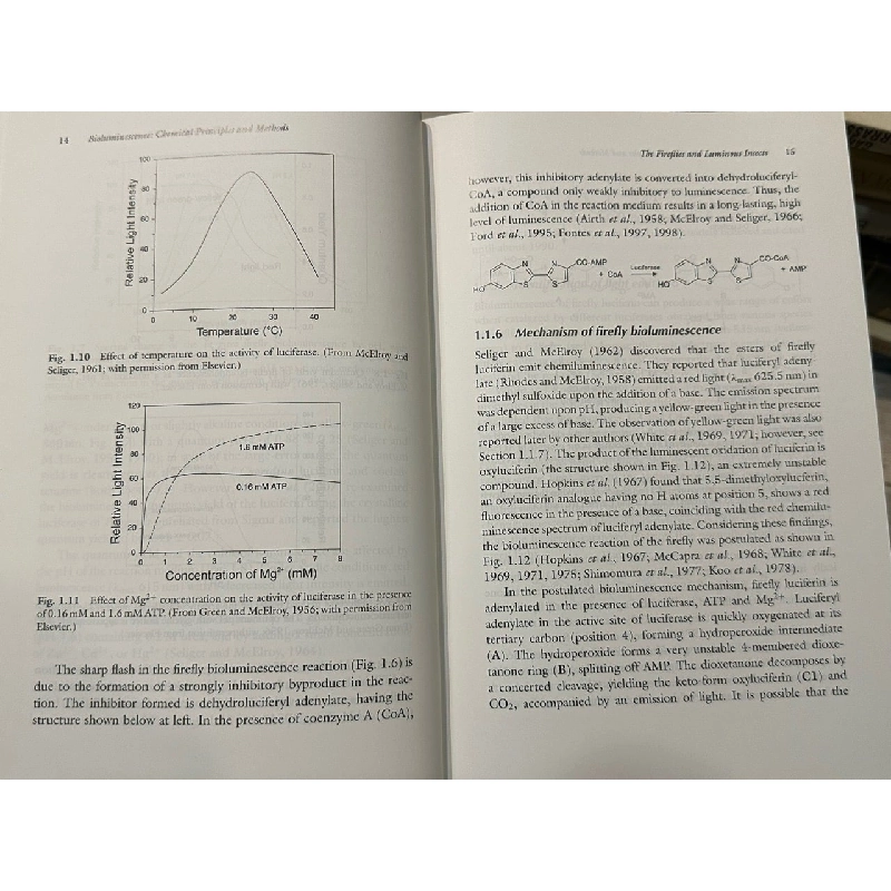 Bioluminescence - Osamu Shimomura 1013398