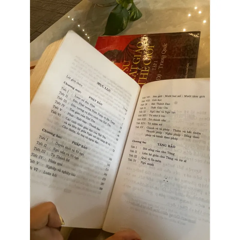 PHẬT HỌC KHÁI LUẬN - THÍCH CHƠN THIỆN  1028775